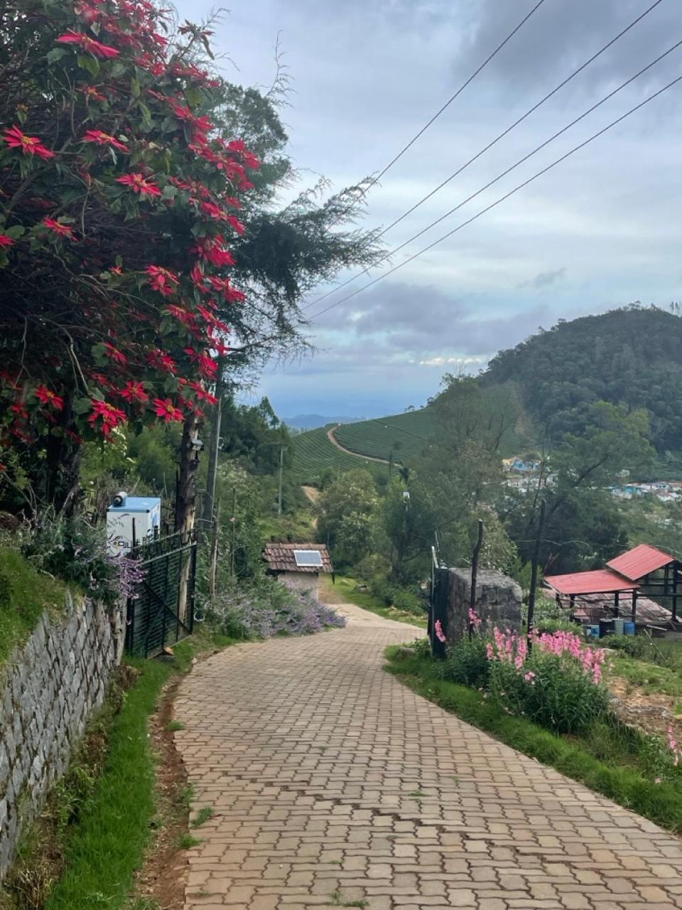 Stumpfields Bed and Breakfast Ooty Εξωτερικό φωτογραφία